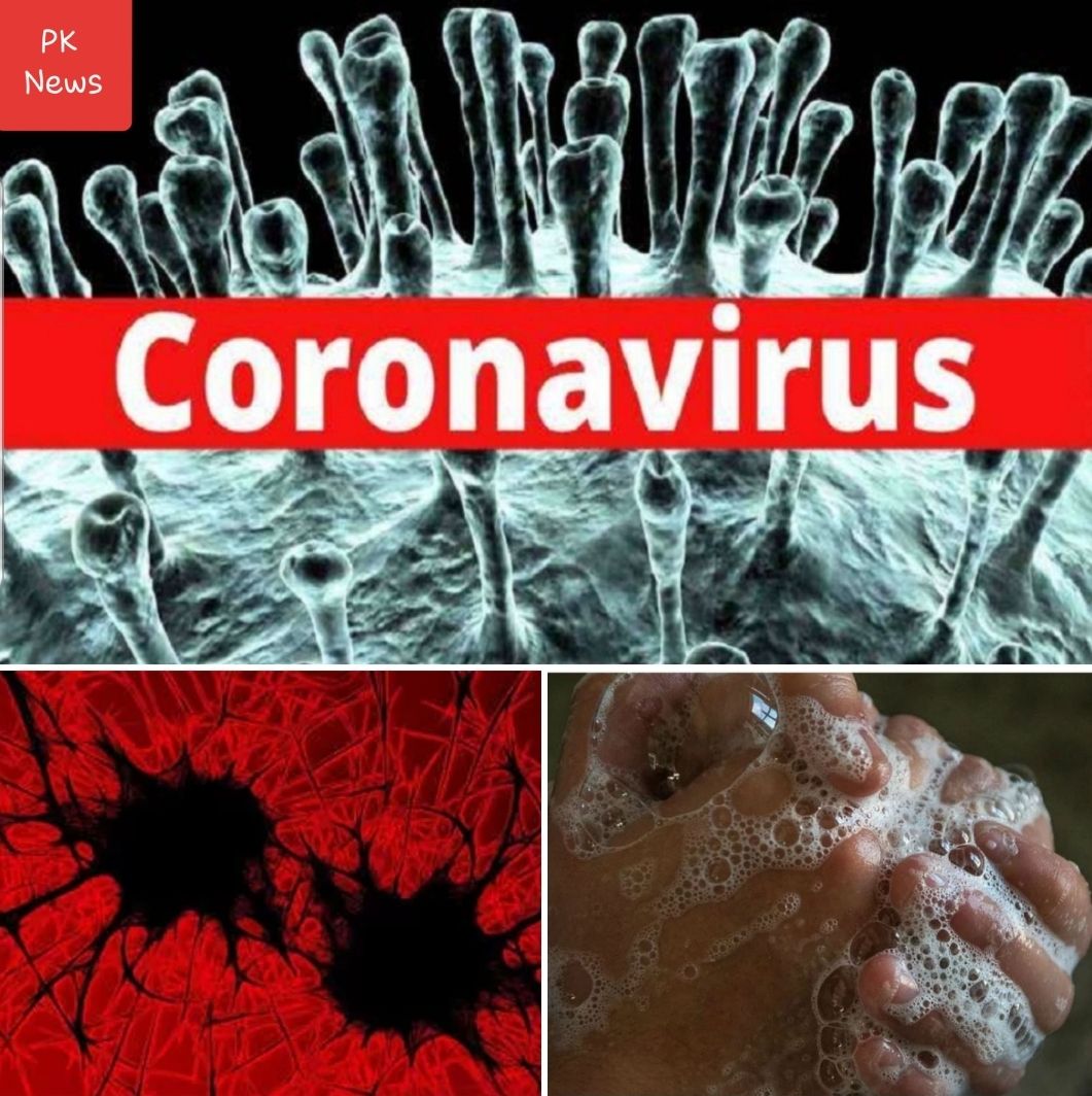 महामारी कोरोना वायरस से जूझ रहा समूचा विश्व