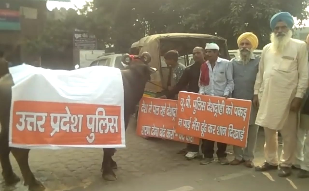 भैंस लेकर थाने पहुंची साध्वी कंचन............ .