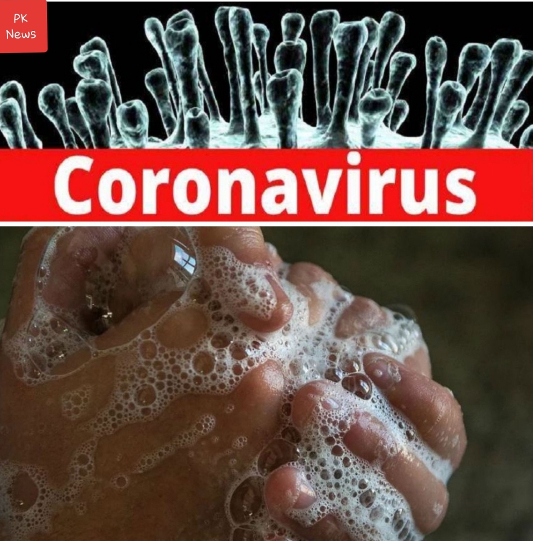 महामारी कोरोना वायरस से जूझ रहा समूचा विश्व
