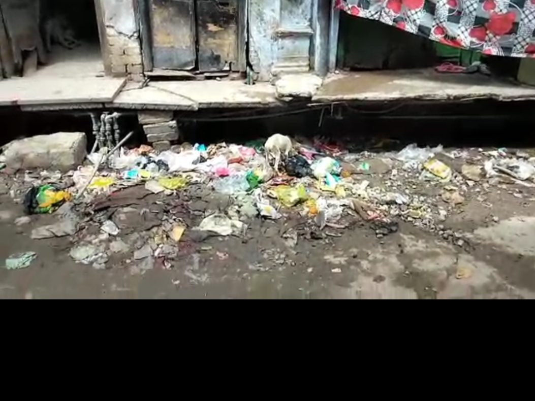 जानवरो से बदत्तर हालत हमारी,जिता कर नेताओं को जनता ख़ुद हारी,